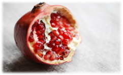 Pomegranate Pomegranate